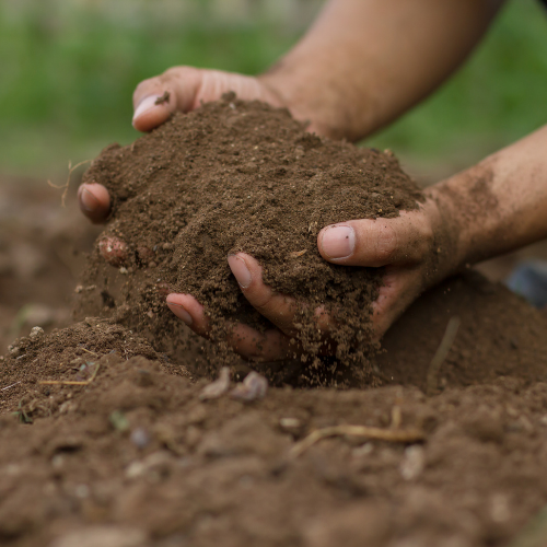 soil remediation